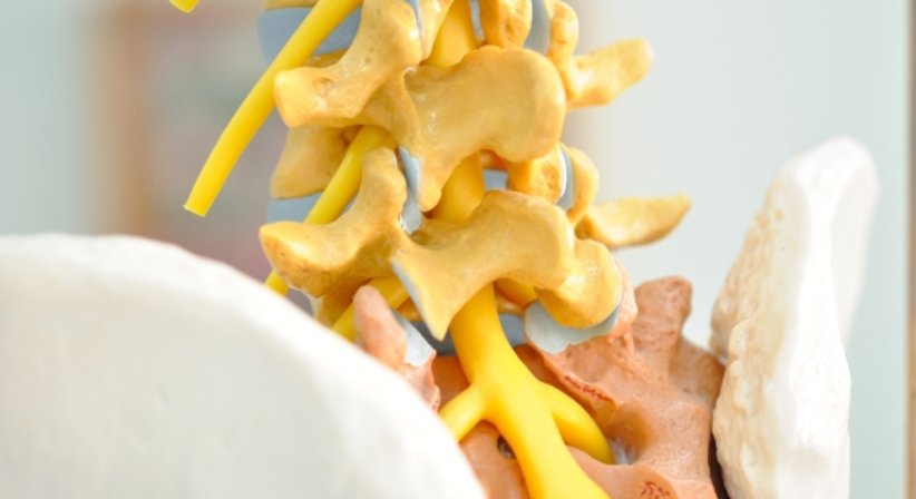 Stenose - OA Dr. Nikolaus Ulreich - Orthopäde Wien 1170