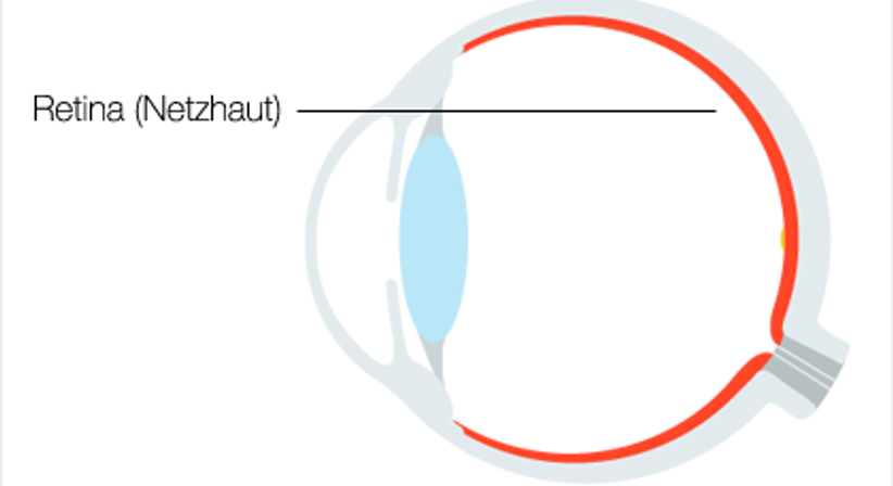Auge: Kurzsichtigkeit, Weitsichtigkeit, Hornhautverkrümmung - Dr. Victor Derhartunian, FEBO - Augenarzt Wien 1010