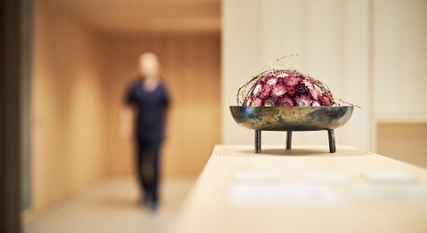 Dr. Ingo Plötzeneder - Plastischer Chirurg Dornbirn 6850