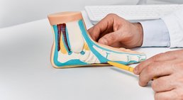 Prim. Dr. Thomas Hofstädter - Orthopäde Salzburg 5020