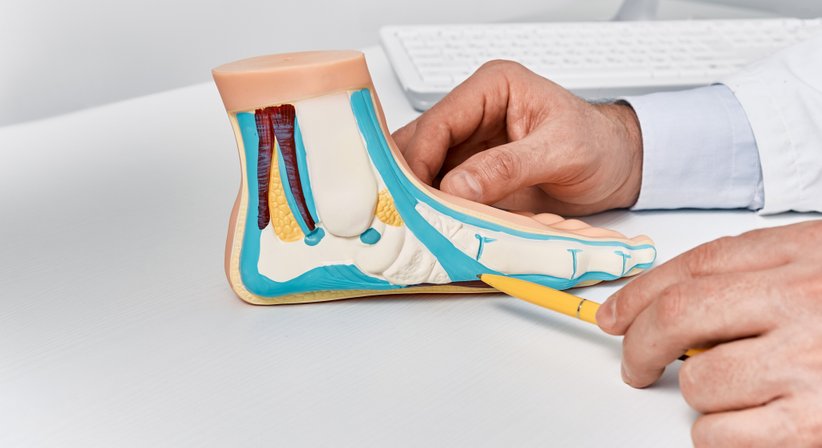 Fußchirurgie - Prim. Dr. Thomas Hofstädter - Orthopäde Salzburg 5020