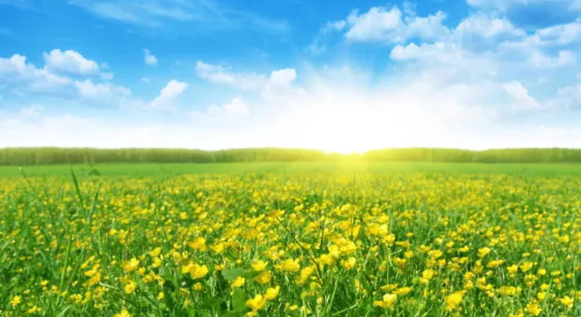 RATGEBER für den FRÜHLING: Was Sie beachten könnten - Dr. Judith Henriette Epp-Frühstück - Praktische Ärztin Wien 1210