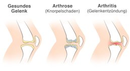 Dr. Manuel Becede - Rheumatologe Tulln an der Donau 3430