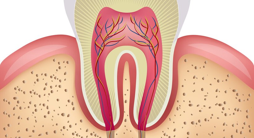 Wurzelbehandlung unter Mikroskop - Dr. Robert Stillmann, MSc - Zahnarzt Wien 1190