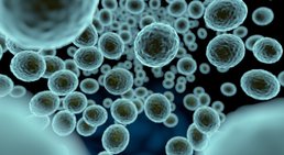 Univ.-Prof. Dr. Stefan Marlovits - Orthopäde Wien 1190