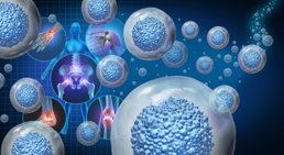 Univ.-Prof. Dr. Stefan Marlovits - Orthopäde Wien 1190