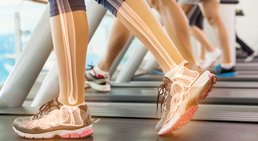 Univ.-Prof. Dr. Stefan Marlovits - Orthopäde Wien 1190