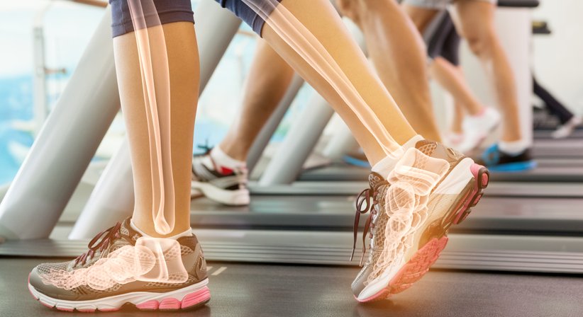 Knochenbruch - Univ.-Prof. Dr. Stefan Marlovits - Orthopäde Wien 1190