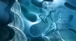 Praxis - Univ.-Prof. Dr. Stefan Marlovits - Orthopäde Wien 1190