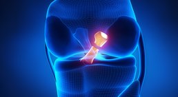 Univ.-Prof. Dr. Stefan Marlovits - Orthopäde Wien 1190