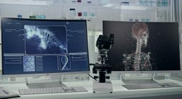 Univ.-Prof. Dr. Stefan Marlovits - Orthopäde Wien 1190