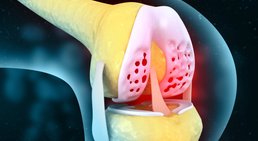 Univ.-Prof. Dr. Stefan Marlovits - Orthopäde Wien 1190