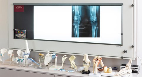 Praxis - Univ.-Prof. Dr. Stefan Marlovits - Orthopäde Wien 1190