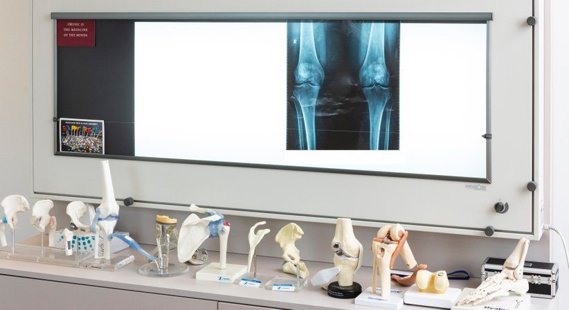 Univ.-Prof. Dr. Stefan Marlovits - Orthopäde Wien 1190