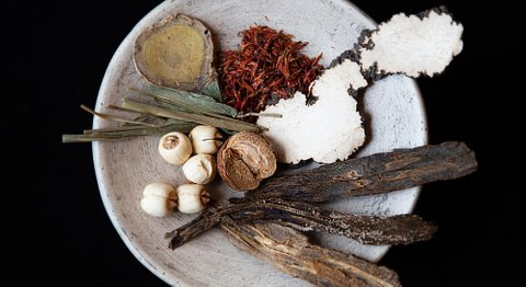 Dr. Marietta Coloini - Praktische Ärztin Wien 1090