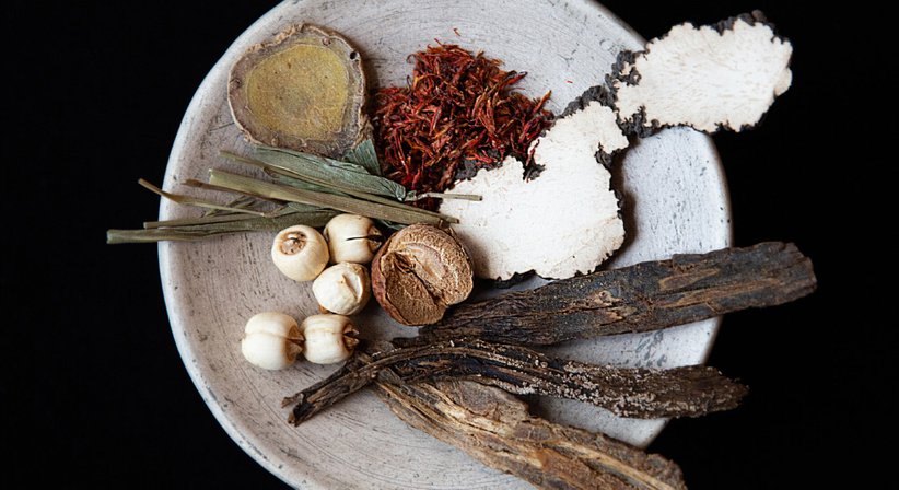 Chinesische Kräutertherapie - Dr. Marietta Coloini - Praktische Ärztin Wien 1090