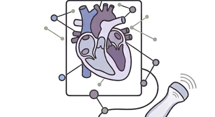 Herzultraschall bei OA Dr. Hazim Abozid, PhD