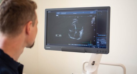 OA Dr. Daniel Stückler - Internist Neuzeug 4523