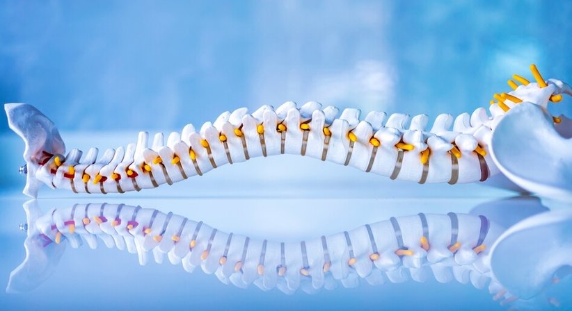 Operative Wirbelsäulenchirurgie - Prim.a.D. Priv.-Doz. Dr. med. univ. Roman Radl, MBA - Orthopäde Graz 8010