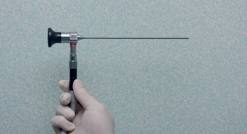 Arthroskopie (Gelenkspiegelung) des Kniegelenks - Prim.a.D. Priv.-Doz. Dr. med. univ. Roman Radl, MBA - Orthopäde Graz 8010