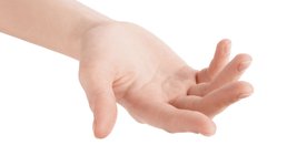 Prim.a.D. Priv.-Doz. Dr. med. univ. Roman Radl, MBA - Orthopäde Graz 8010