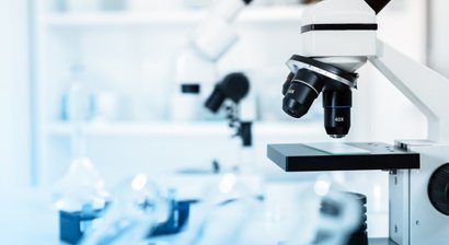 Reise- und Tropendermatologie 