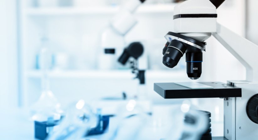 Reise- und Tropendermatologie  - Dr. Ulrike Wieland - Hautärztin Salzburg 5020