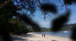Diabetische Retinopathie -