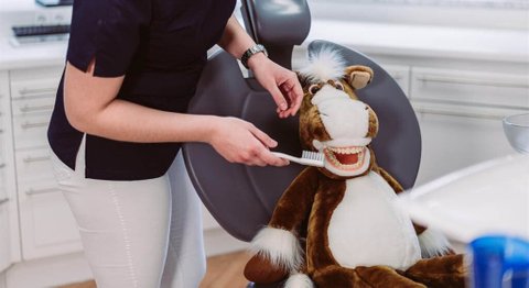 Praxis - Dr. Franz Atzlinger jr. - Zahnarzt Thalheim bei Wels 4600