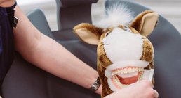 Dr. Franz Atzlinger jr. - Zahnarzt Thalheim bei Wels 4600