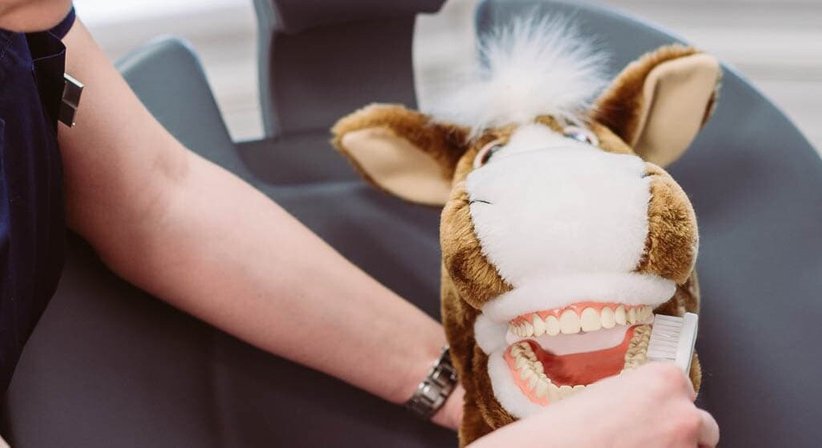 Dr. Franz Atzlinger jr. - Zahnarzt Thalheim bei Wels 4600