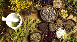 Praxis - Dr. Lydia Schuster - Praktische Ärztin Eggendorf 2492