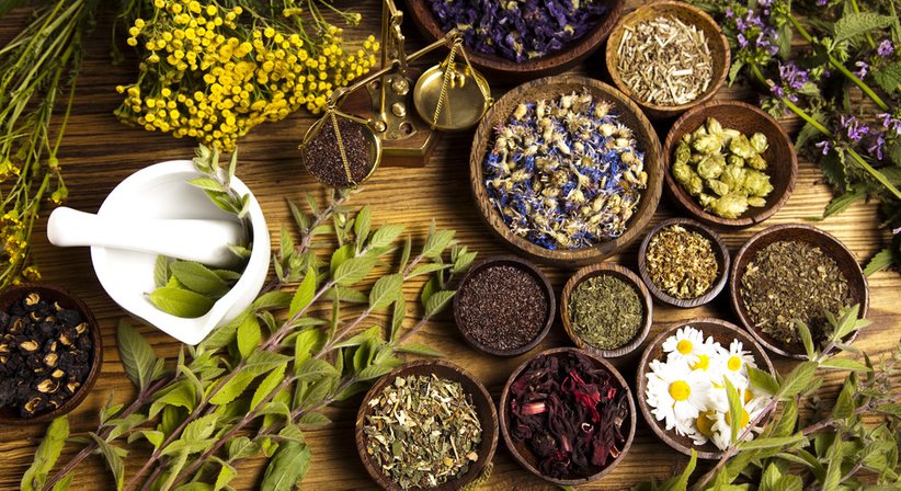 Phytotherapie - Dr. Lydia Schuster - Praktische Ärztin Eggendorf 2492