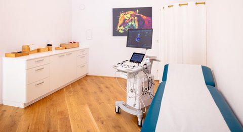 Prof.Dr. Jolanta Siller-Matula, PhD - Internistin Klosterneuburg 3400