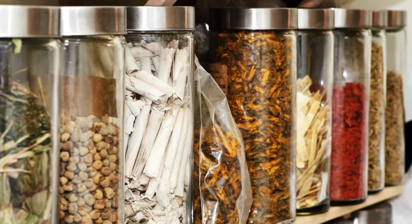 Traditionelle chinesische Medizin durch spezialisierten Arzt - Dr. med. univ. Ülkü Denia - Praktische Ärztin Wien 1010