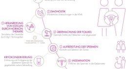 Dr. med. Mathias Brunbauer - Frauenarzt Wien 1010