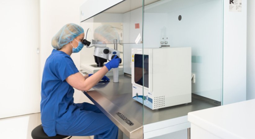 Künstliche Befruchtung (IVF, ICSI) - Dr. med. Mathias Brunbauer - Frauenarzt Wien 1010