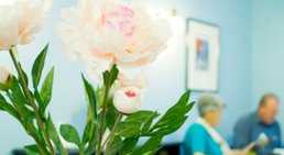 Prim. Priv.Doz. Dr. Georg-Christian Funk - Lungenfacharzt Wien 1010