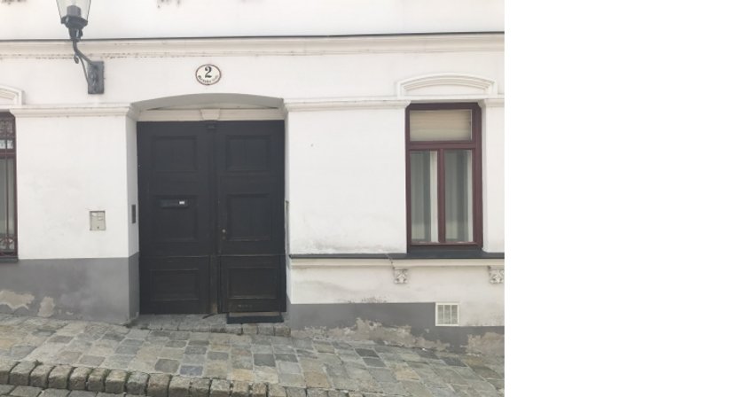 Prim. Univ. Prof. Dr. Wolf Müllbacher - Neurologe Wien 1170