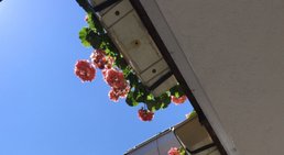 Prim. Univ. Prof. Dr. Wolf Müllbacher - Neurologe Wien 1170