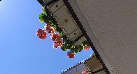 Praxis - Prim. Univ. Prof. Dr. Wolf Müllbacher - Neurologe Wien 1170