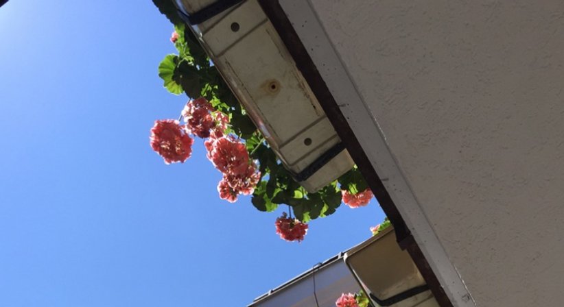 Prim. Univ. Prof. Dr. Wolf Müllbacher - Neurologe Wien 1170