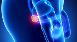 Prostata -