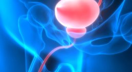 Urologische Infektionen -
