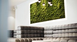 Praxis - DDr. Oliver Sas - Zahnarzt Wien 1010