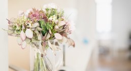 Univ. Prof. Dr. Klaus Mayerhofer - Frauenarzt Wien 1070