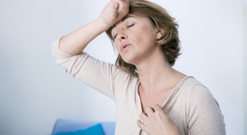 Hormone (Hormonelle Dysfunktion, Wechseljahre) - Univ. Prof. Dr. Klaus Mayerhofer - Frauenarzt Wien 1070