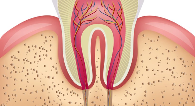 Oralchirurgie - Dr. Michael Leukauf - Zahnarzt Wien 1190
