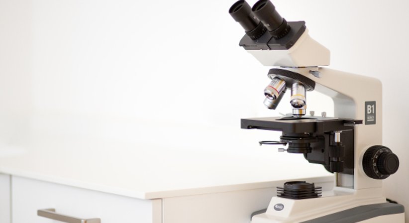 Jahresuntersuchung - OA Dr. Joachim Pömer - Frauenarzt Linz 4020