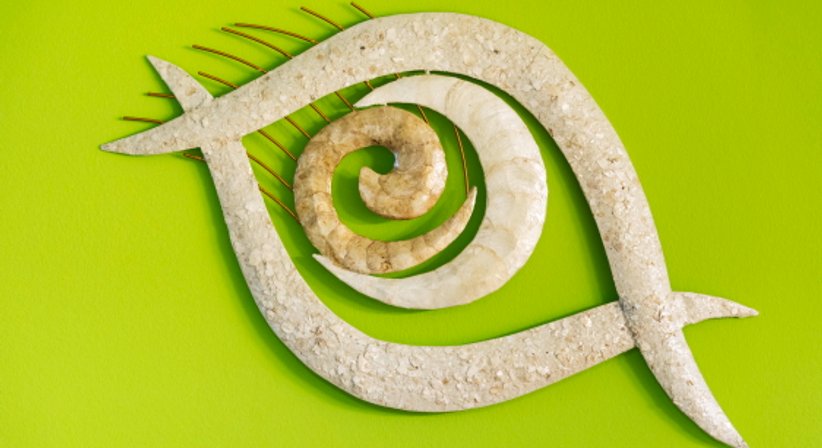 Kinderwunsch - Dr. med. univ. Gabriele Haitzmann - Frauenärztin Salzburg 5020